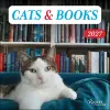 Cats & Books 2027 Wall Calendar cover