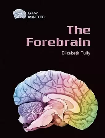 The Forebrain cover