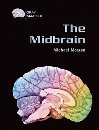 The Midbrain cover