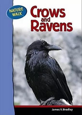 Ravens and Crows cover