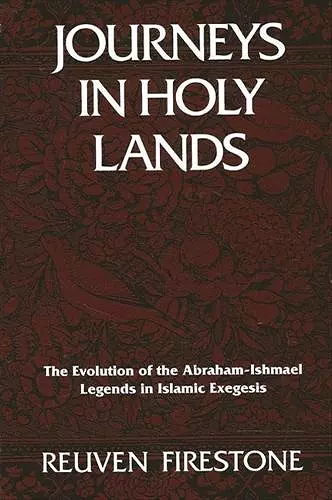 Journeys in Holy Lands cover