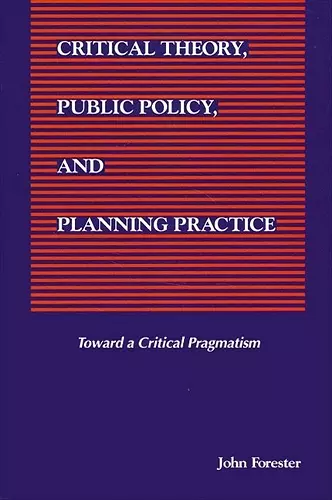 Critical Theory, Public Policy, and Planning Practice cover