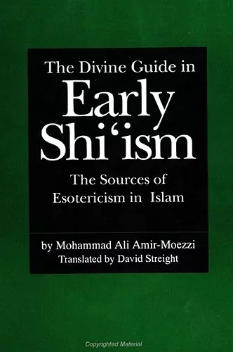 The Divine Guide in Early Shi'ism cover