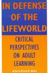 In Defense of the Lifeworld cover