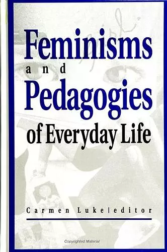 Feminisms and Pedagogies of Everyday Life cover