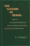 The Culture of Denial cover