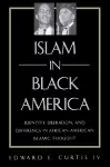 Islam in Black America cover