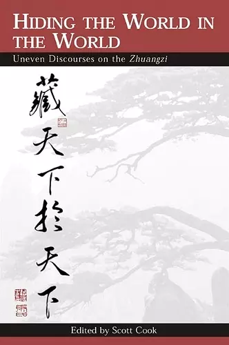 Hiding the World in the World cover