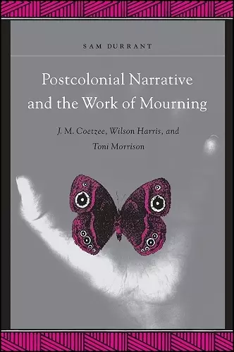 Postcolonial Narrative and the Work of Mourning cover