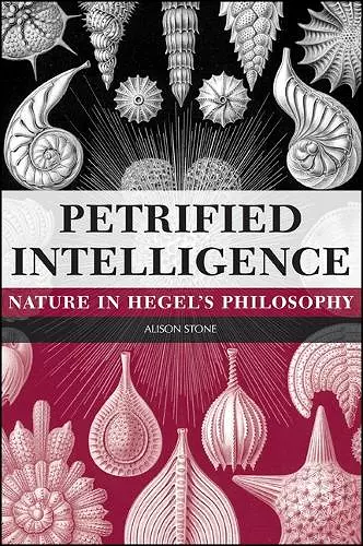 Petrified Intelligence cover