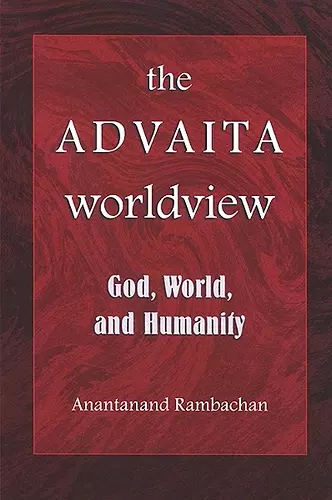 The Advaita Worldview cover