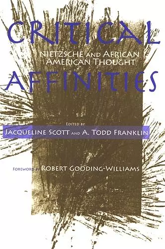 Critical Affinities cover