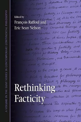 Rethinking Facticity cover