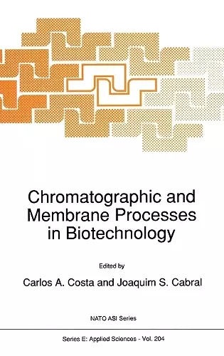 Chromatographic and Membrane Processes in Biotechnology cover