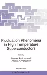 Fluctuation Phenomena in High Temperature Superconductors cover
