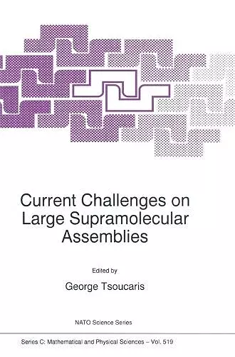 Current Challenges on Large Supramolecular Assemblies cover