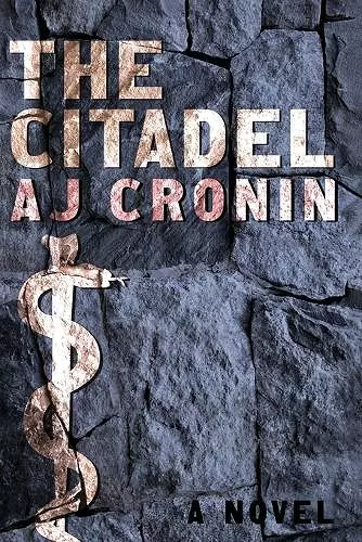 The Citadel cover