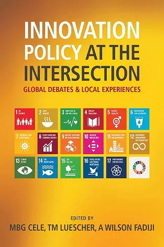 Innovation Policy at the Intersection cover