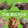 My First Book Of The Big Five cover