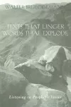 Texts That Linger, Words That Explode cover