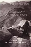 Deep Memory, Exuberant Hope cover
