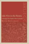 Like Fire in the Bones cover