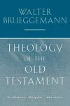 Theology of the Old Testament cover