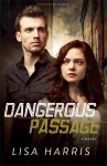 Dangerous Passage – A Novel cover