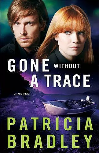 Gone without a Trace – A Novel cover