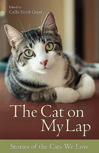 The Cat on My Lap – Stories of the Cats We Love cover