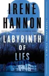 Labyrinth of Lies cover