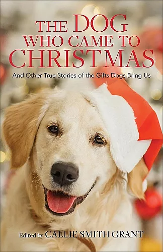 The Dog Who Came to Christmas – And Other True Stories of the Gifts Dogs Bring Us cover