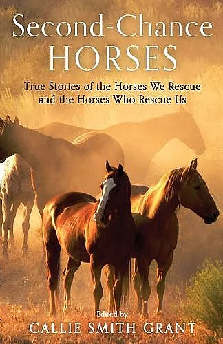 Second–Chance Horses – True Stories of the Horses We Rescue and the Horses Who Rescue Us cover