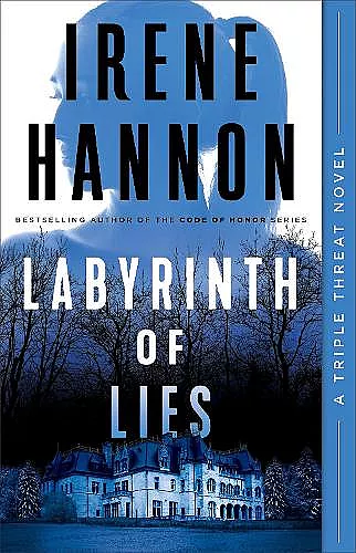 Labyrinth of Lies cover