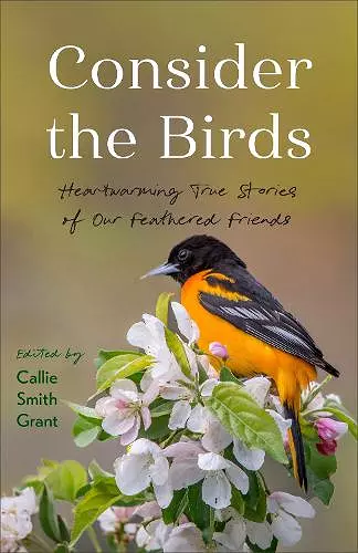 Consider the Birds cover