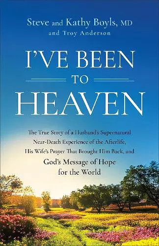 I've Been to Heaven cover