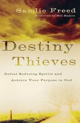 Destiny Thieves – Defeat Seducing Spirits and Achieve Your Purpose in God cover