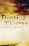 Destiny Thieves – Defeat Seducing Spirits and Achieve Your Purpose in God cover