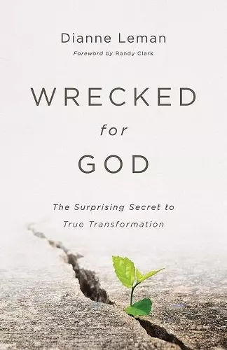 Wrecked for God – The Surprising Secret to True Transformation cover