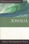 Joshua cover