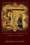The Last Adam – A Theology of the Obedient Life of Jesus in the Gospels cover