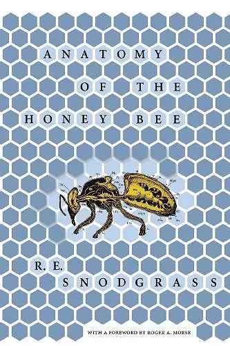 Anatomy of the Honey Bee cover