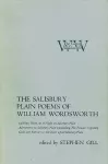 The Salisbury Plain Poems of William Wordsworth cover