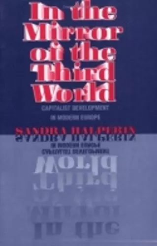 In the Mirror of the Third World cover
