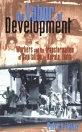 The Labor of Development cover