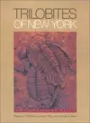 Trilobites of New York cover