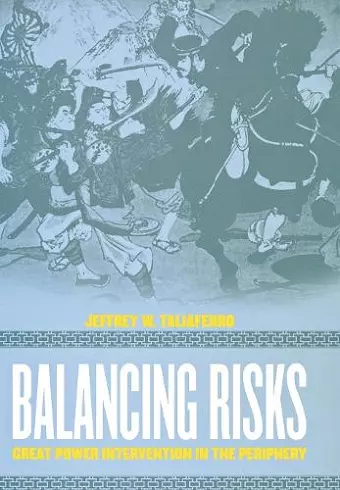 Balancing Risks cover