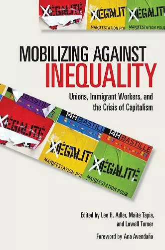 Mobilizing against Inequality cover