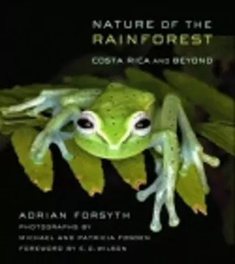 Nature of the Rainforest cover