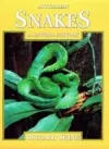 Australian Snakes cover